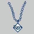 Tampa Bay Rays Necklace logo decal sticker