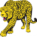 South Alabama Jaguars 1993-2007 Partial Logo 07 Sticker Heat Transfer