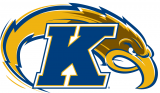 Kent State Golden Flashes 2000-Pres Alternate Logo decal sticker