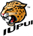 IUPUI Jaguars 2008-Pres Secondary Logo Sticker Heat Transfer