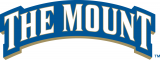 Mount St. Marys Mountaineers 2004-Pres Wordmark Logo 01 decal sticker