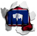 Fist Wyoming State Flag Logo Sticker Heat Transfer