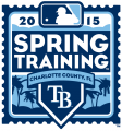 Tampa Bay Rays 2015 Event Logo Sticker Heat Transfer
