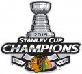 Chicago Blackhawks 2014 15 Champion Logo decal sticker