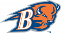 Bucknell Bison 2002-Pres Alternate Logo 02 decal sticker