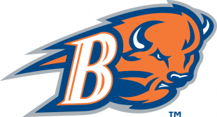 Bucknell Bison 2002-Pres Alternate Logo 02 Sticker Heat Transfer