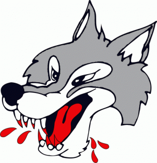 Sudbury Wolves 2009 10-Pres Primary Logo Sticker Heat Transfer