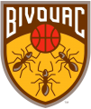 Bivouac 2019-Pres Primary Logo decal sticker