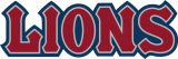 Loyola Marymount Lions 2008-2018 Wordmark Logo 02 Sticker Heat Transfer