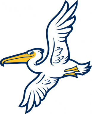 Myrtle Beach Pelicans 2007-Pres Alternate Logo Sticker Heat Transfer