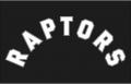 Toronto Raptors 2015-Pres Jersey Logo decal sticker