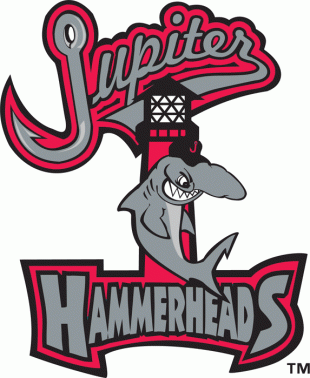 Jupiter Hammerheads 1998-2002 Primary Logo decal sticker