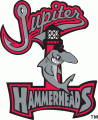 Jupiter Hammerheads 1998-2002 Primary Logo Sticker Heat Transfer