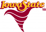 Iowa State Cyclones 1984-1994 Primary Logo decal sticker