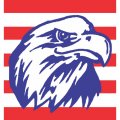 USA Logo 01