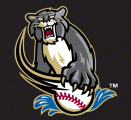 Sacramento River Cats 2000-2006 Cap Logo 3 decal sticker