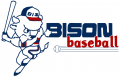 Buffalo Bisons 1985-1987 Primary Logo Sticker Heat Transfer