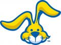 South Dakota State Jackrabbits 2008-Pres Misc Logo 01 decal sticker