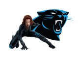 Carolina Panthers Black Widow Logo Sticker Heat Transfer