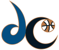 WNBA 1998-2010 Alternate Logo decal sticker
