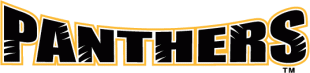 Wisconsin-Milwaukee Panthers 2002-2010 Wordmark Logo decal sticker