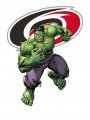 Carolina Hurricanes Hulk Logo decal sticker