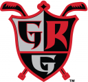 Grand Rapids Griffins 2015-Pres Alternate Logo Sticker Heat Transfer