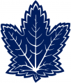 Toronto Maple Leafs 2000 01-2006 07 Alternate Logo 02 decal sticker