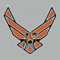 Airforce Phoenix Suns Logo Sticker Heat Transfer