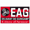 Guingamp 2000-Pres Primary Logo Sticker Heat Transfer