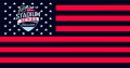 NHL Stadium Series 2016 Flag001 logo decal sticker