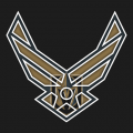 Airforce Vegas Golden Knights logo Sticker Heat Transfer