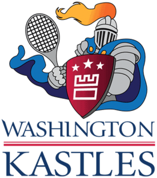 Washington Kastles 2008 Primary Logo decal sticker