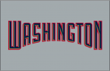 Washington Nationals 2005-2008 Jersey Logo decal sticker