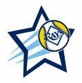 Tampa Bay Rays Baseball Goal Star logo decal sticker