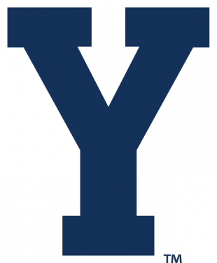 Brigham Young Cougars 2005-Pres Secondary Logo decal sticker