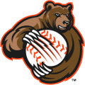 Fresno Grizzlies 2008-2018 Alternate Logo decal sticker