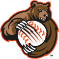 Fresno Grizzlies 2008-2018 Alternate Logo Sticker Heat Transfer