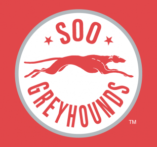 Sault Ste. Marie Greyhounds 2009 10-2012 13 Alternate Logo decal sticker