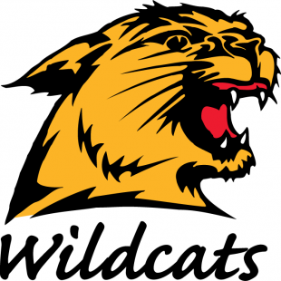 Northern Michigan Wildcats 1993-2015 Alternate Logo 02 decal sticker