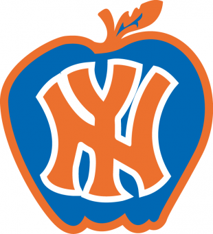 New York Knicks 1978-1979 Alternate Logo decal sticker