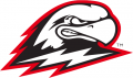 Southern Utah Thunderbirds 2019-Pres Primary Logo Sticker Heat Transfer