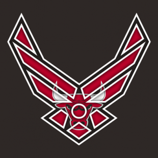 Airforce Chicago Bulls Logo decal sticker