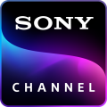 Sony brand logo 03 decal sticker