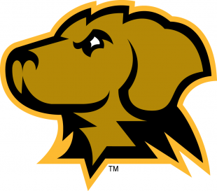 UMBC Retrievers 2010-Pres Secondary Logo Sticker Heat Transfer