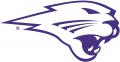 Northern Iowa Panthers 2002-2014 Partial Logo 01 decal sticker