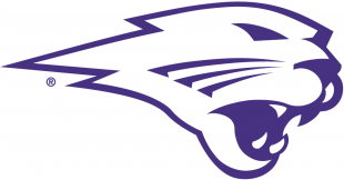 Northern Iowa Panthers 2002-2014 Partial Logo 01 Sticker Heat Transfer