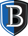 Bentley Falcons 2013-Pres Primary Logo decal sticker