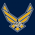 Airforce Nashville Predators Logo decal sticker