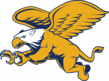 Canisius Golden Griffins 2006-Pres Secondary Logo decal sticker